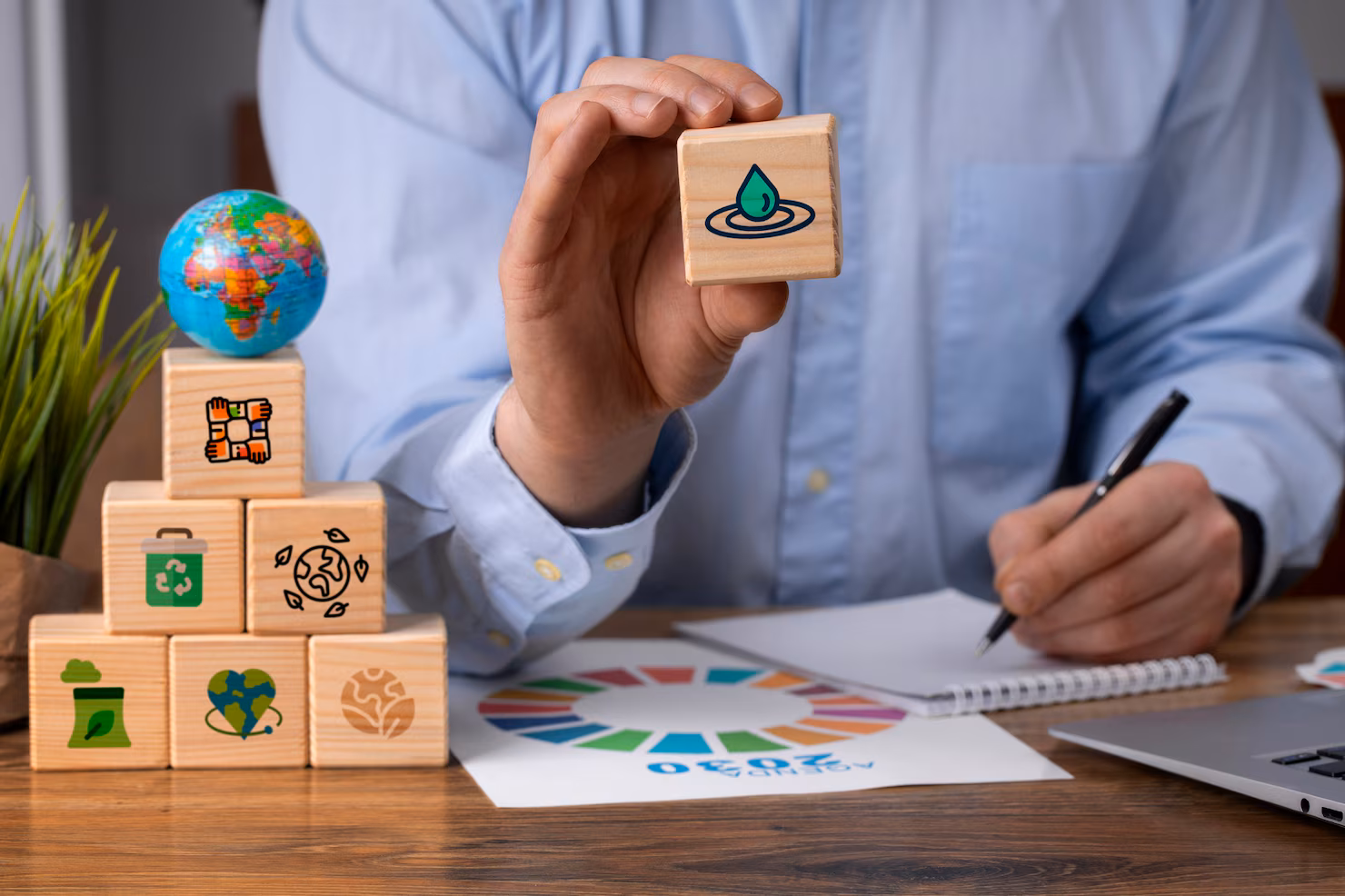 Well-Defined Financial Roadmap Can Drive Sustainable Expansion